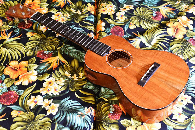 NEW/tkitki ukulele Custom-T/ES 14R Cuban Mahogany