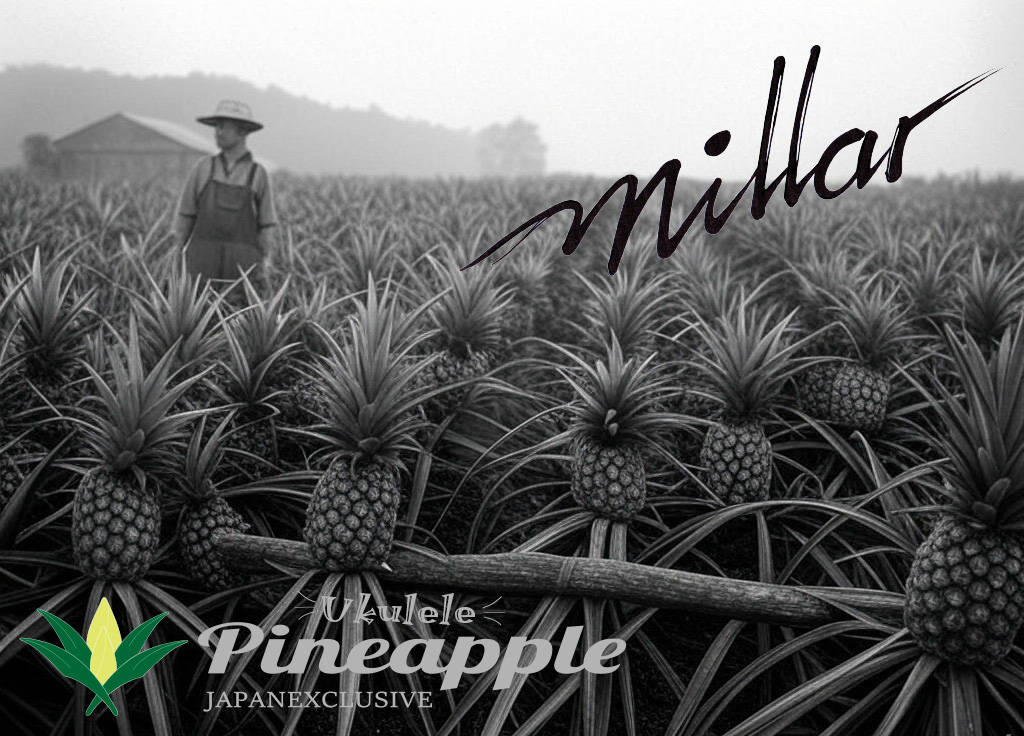 【入荷】Millar パイナップルシリーズ