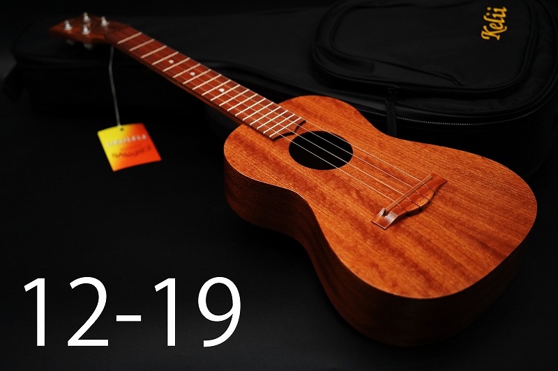 Baby Tayor 301-R（ローズウッド）限定生産 メイドUSA 美品