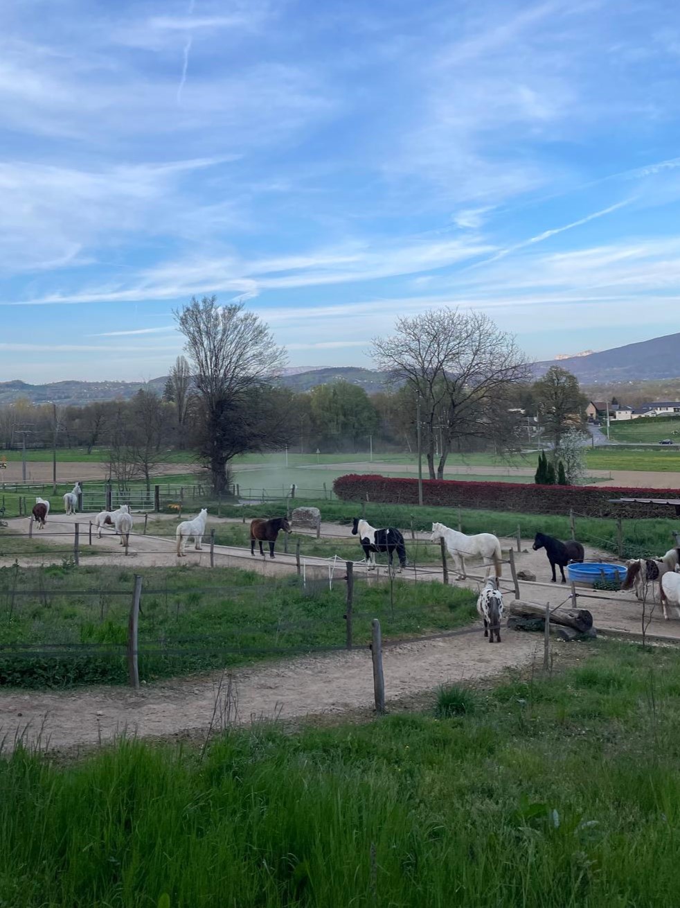 Le parc des poneys