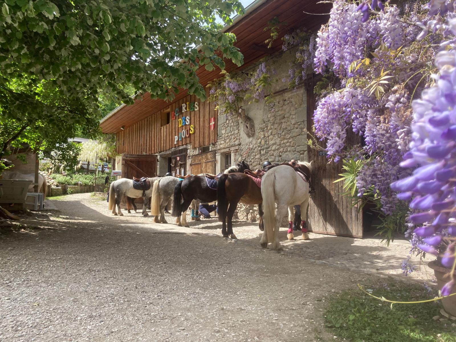 Les écuries