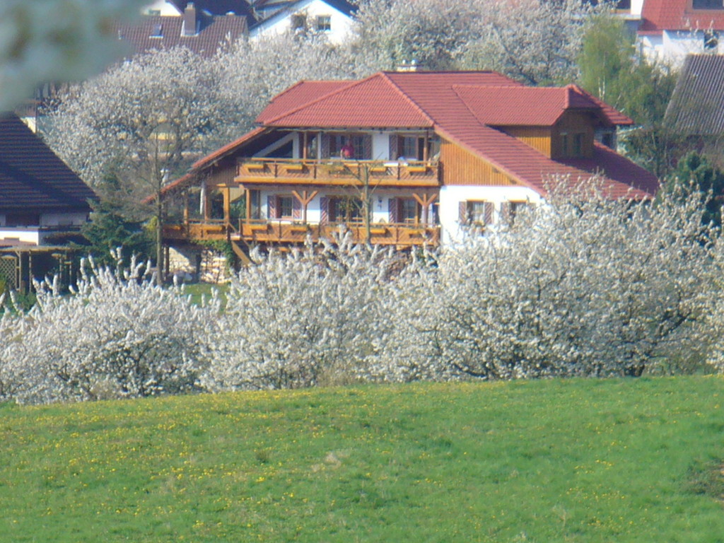 Blick auf die Südostseite des Hauses. Die Ferienwohnung liegt im Obergeschoß