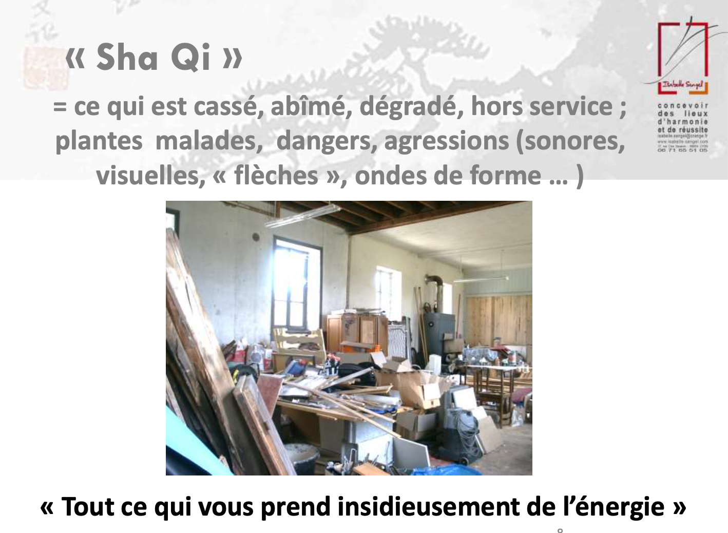 Le "Sha" QI