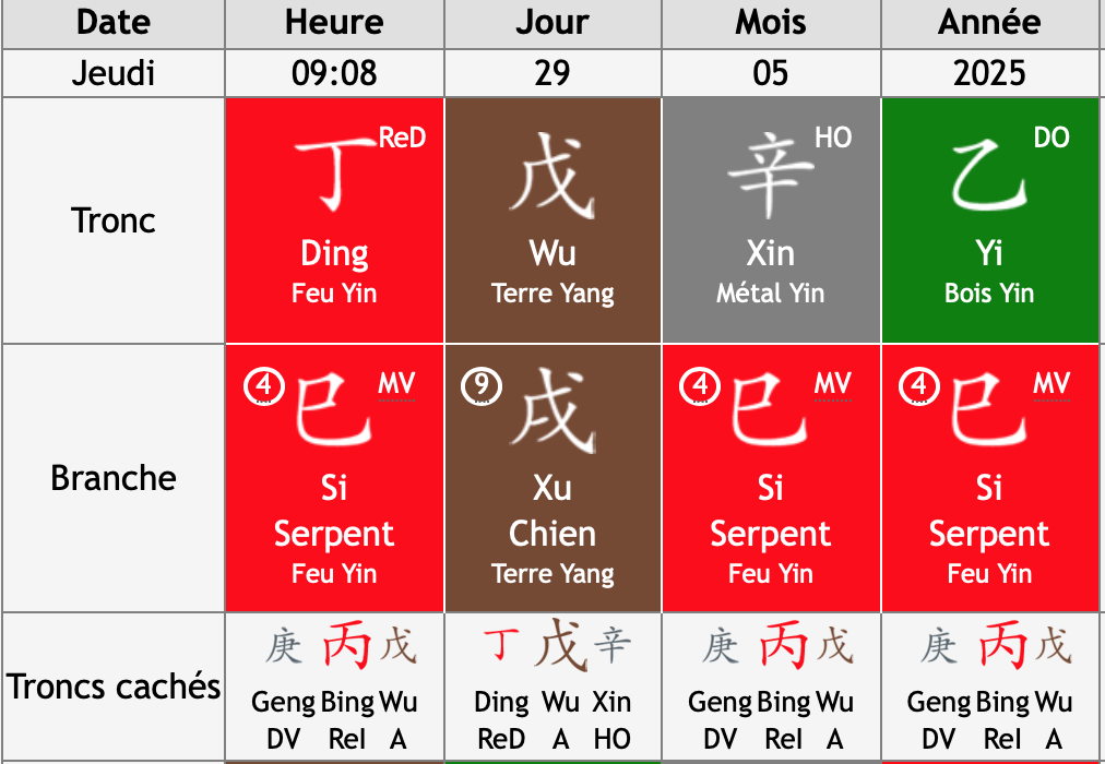 Exemple d'une carte Bazi pour une personne née le 29/05/2025 à 9H08