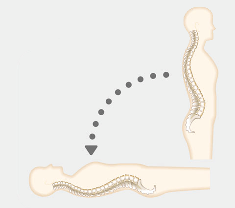 健康な睡眠には自然な正常立位姿勢に近い姿勢を保つことが大切ですの説明画像　立っている背骨がそのまま寝姿勢に