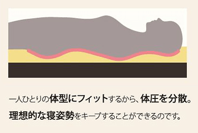 一人ひとりの体型にフィットするから体圧を分散。理想的な寝姿勢をキープすることができるのです