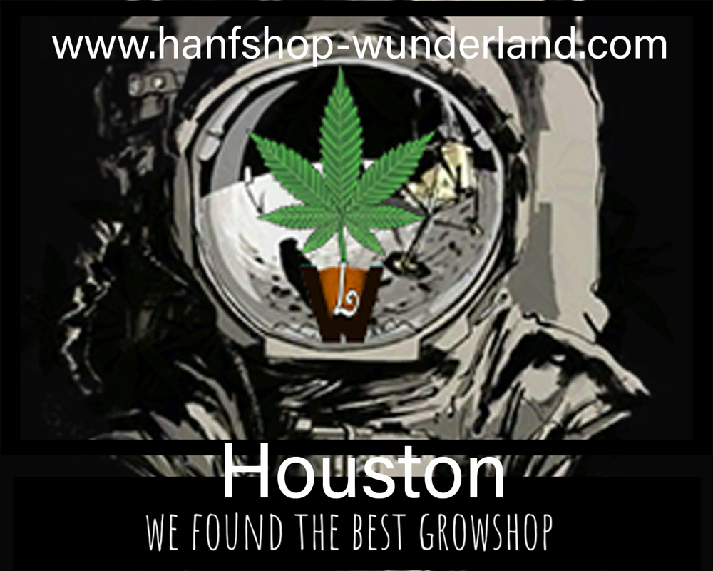 Online growshop- Fachgeschäft für cannabis Stecklinge / Pflanzen und growequipment