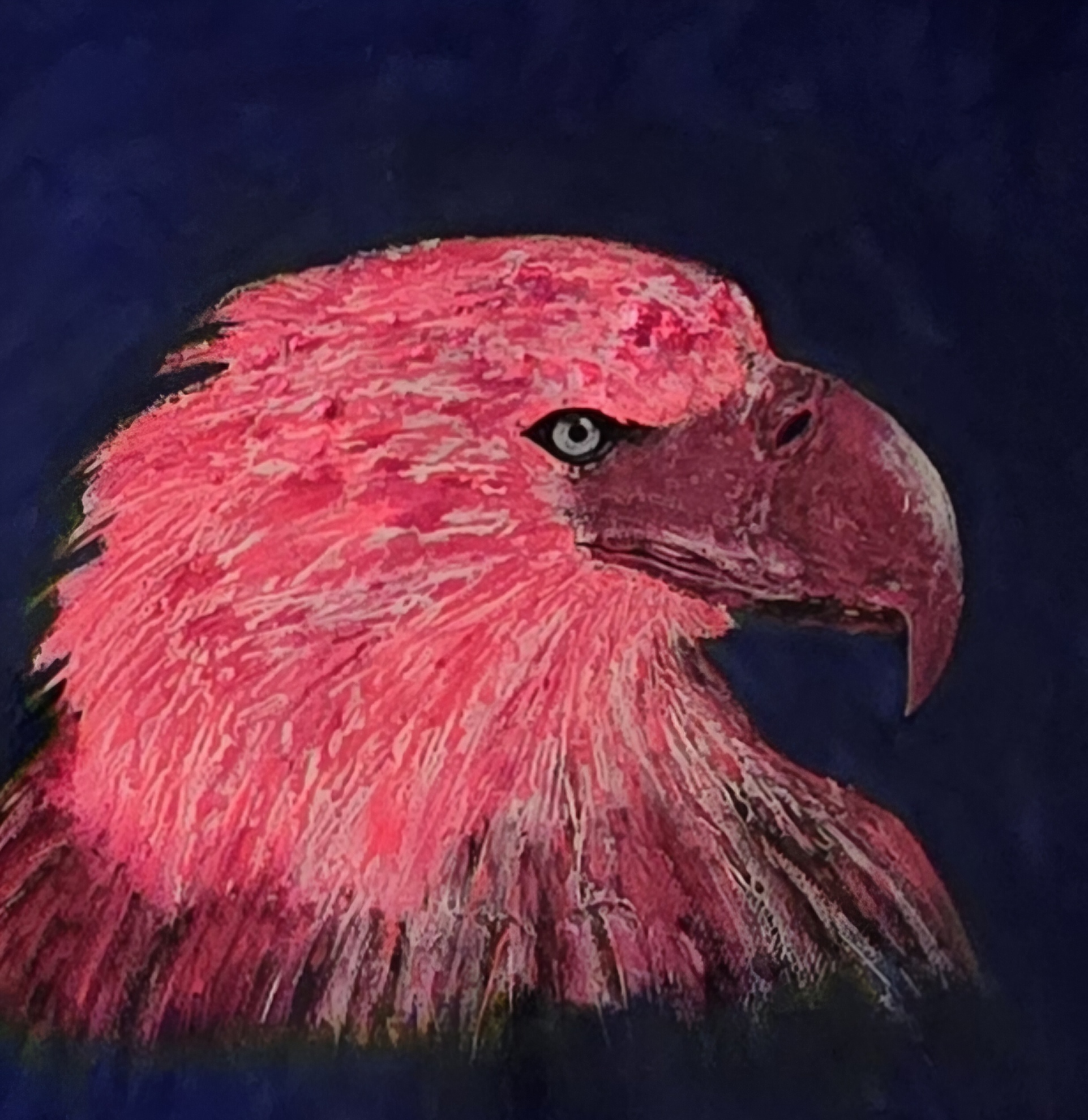 105 cm x 105 cm x 5 cm pink eagle