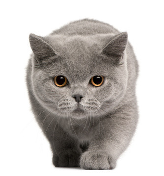 Bildquelle: fotolia.com