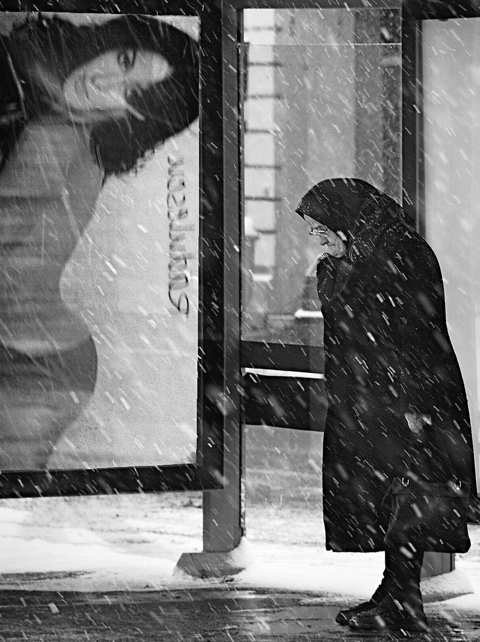 Platelet CPSz-Gabor Nicoleta (RO) - If on a Winter`s Day