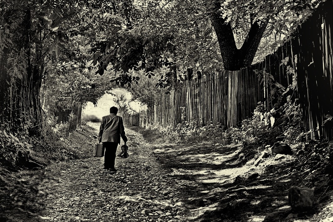 Nicoleta Păunaş - The troubadour