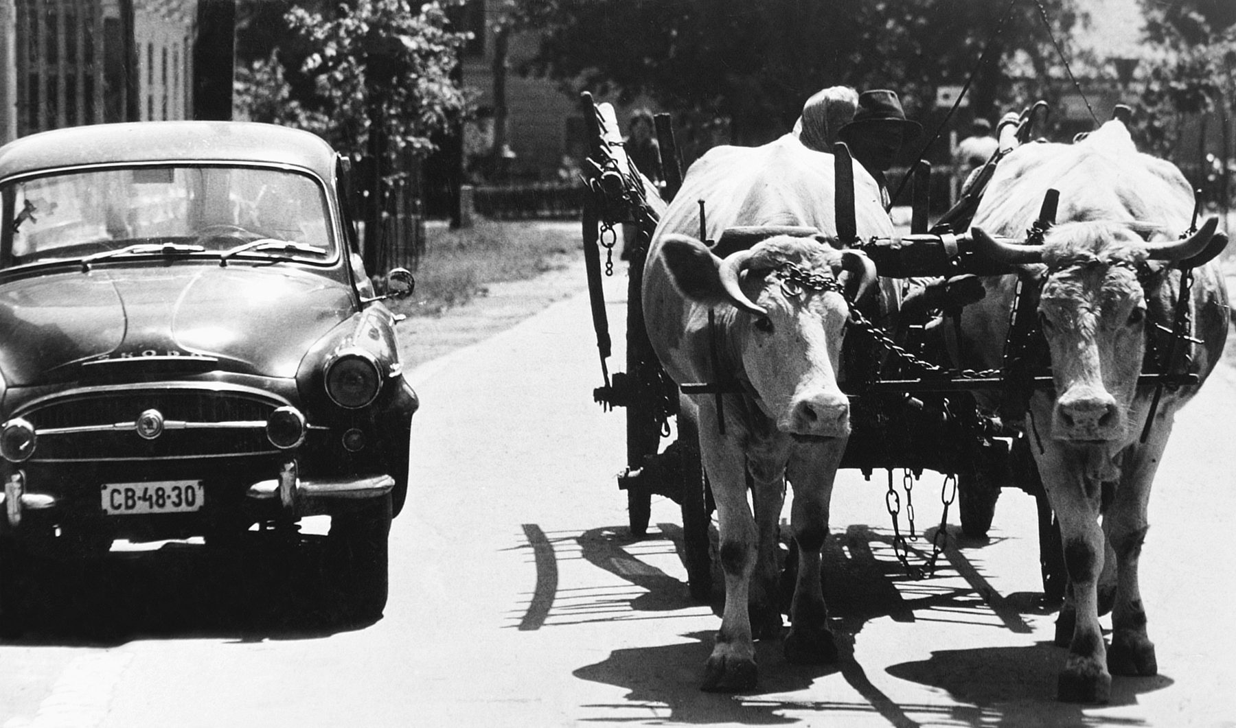 Photo:  Széles Lajos