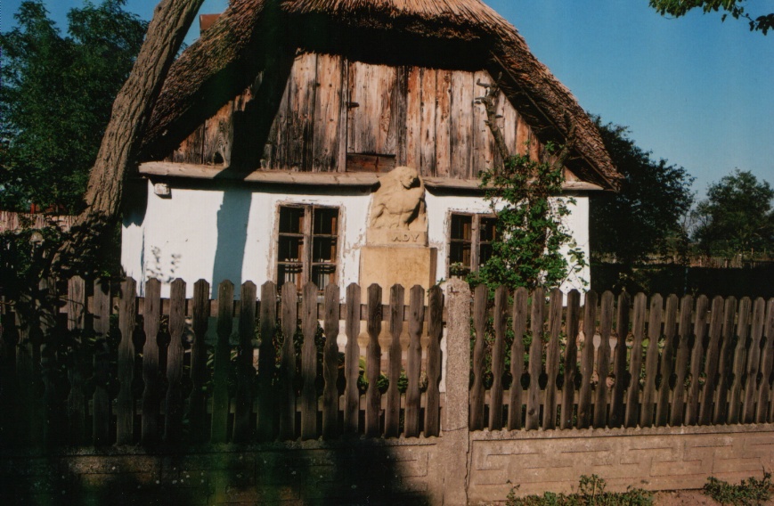 Ady érmindszeti Múzeum