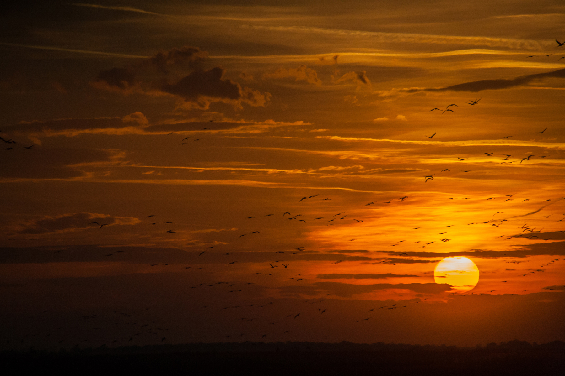 Photo: Illés Gábor