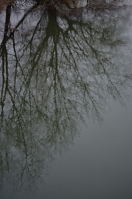 Foto: Bégányi Csilla