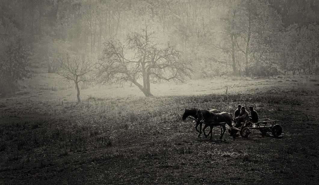 Nicoleta Păunaş - To the West