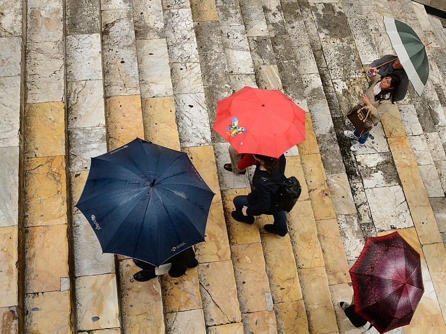 Placheta-Gelu Stan AFIAP (RO)- Photo in the Rain/ Fotografie în ploaie
