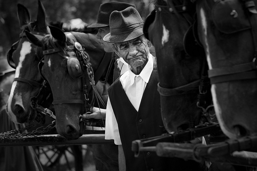 Tamás Horváth (Hajdóböszörmény) - Transportator bătrân_Öreg fuvaros