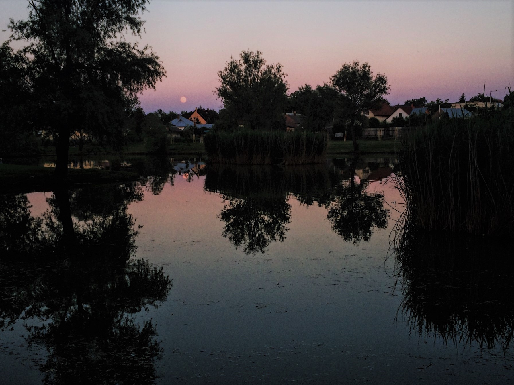Paál Boglárka (HU)