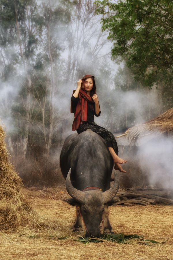 Pat Choo (Singapore) - Village Girl on Buffalo
