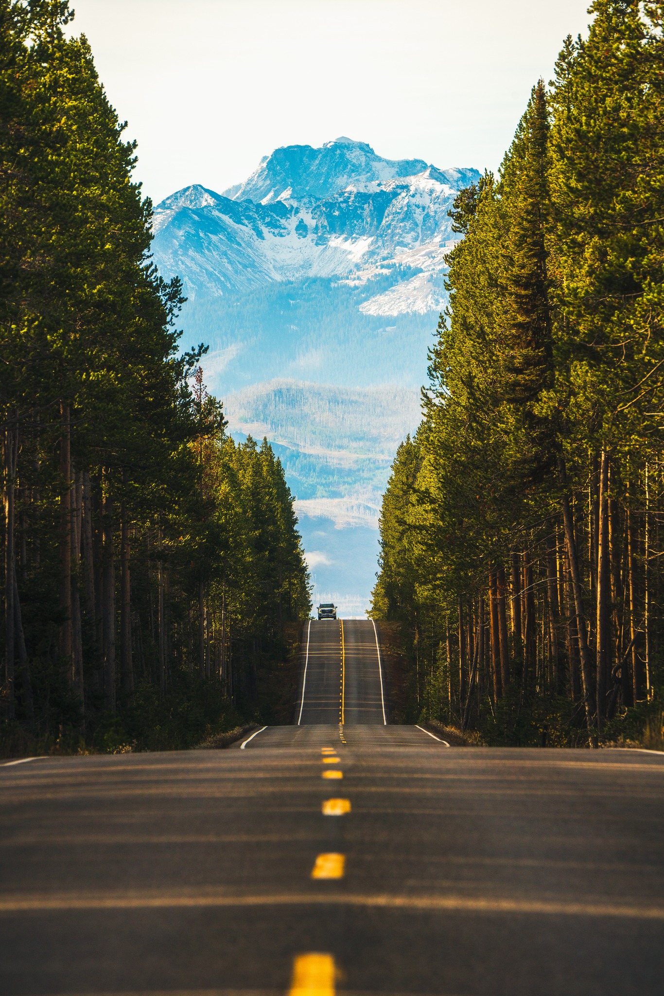 Nagy Nándor (RO) – Yellowstone Park