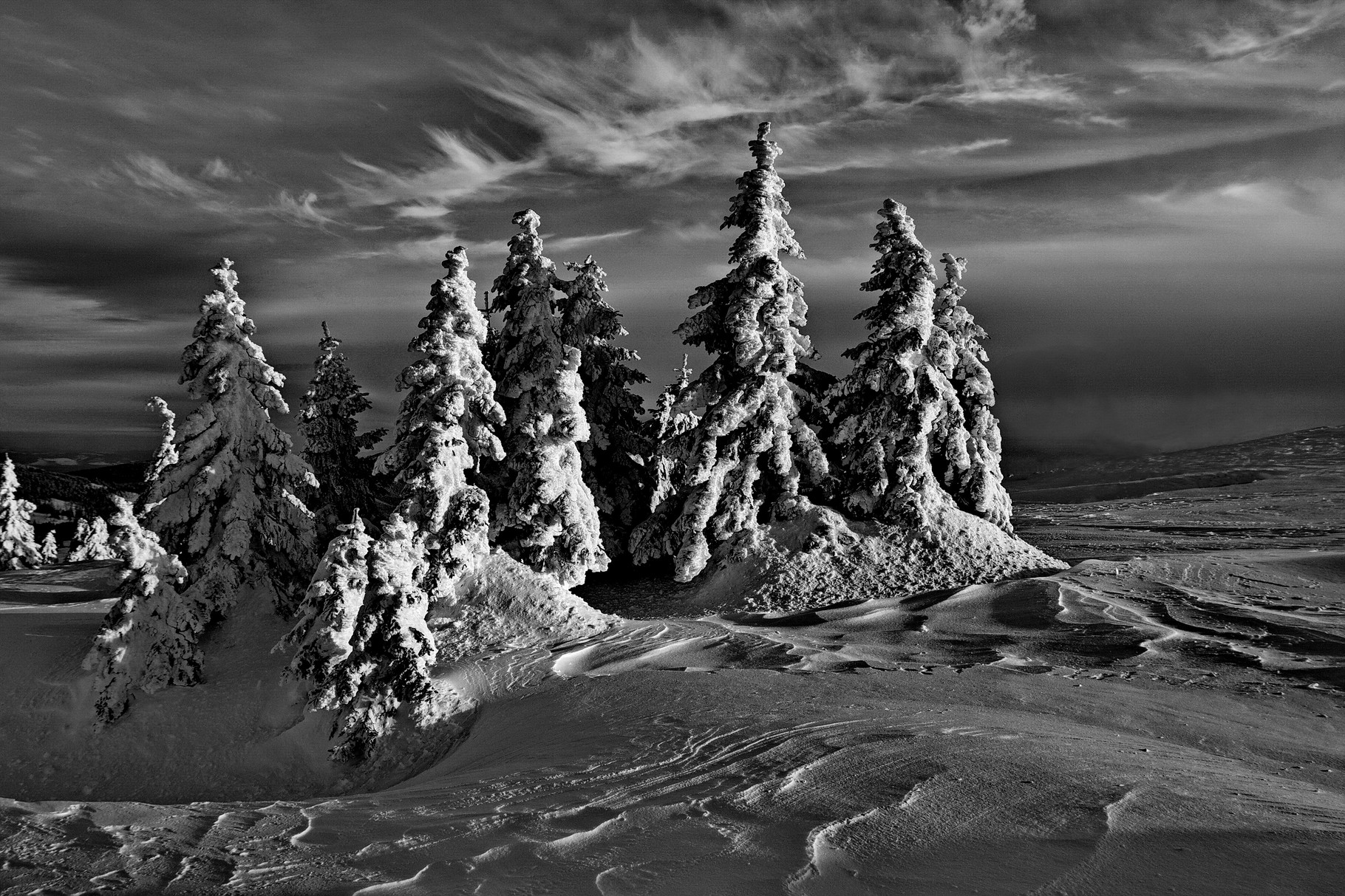 D-Bronz CPSzmedal - Zsolt András (RO) - Winter Dream/ Téli álom