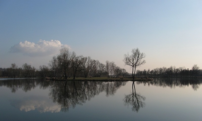 Foto: Cosmin Rusu