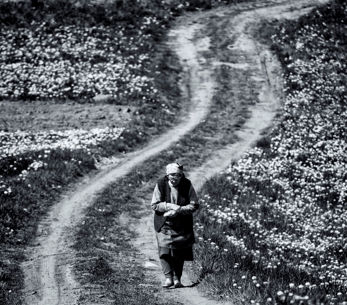 Fekete Réka (Fotoclub ”Homorod”) - Romania