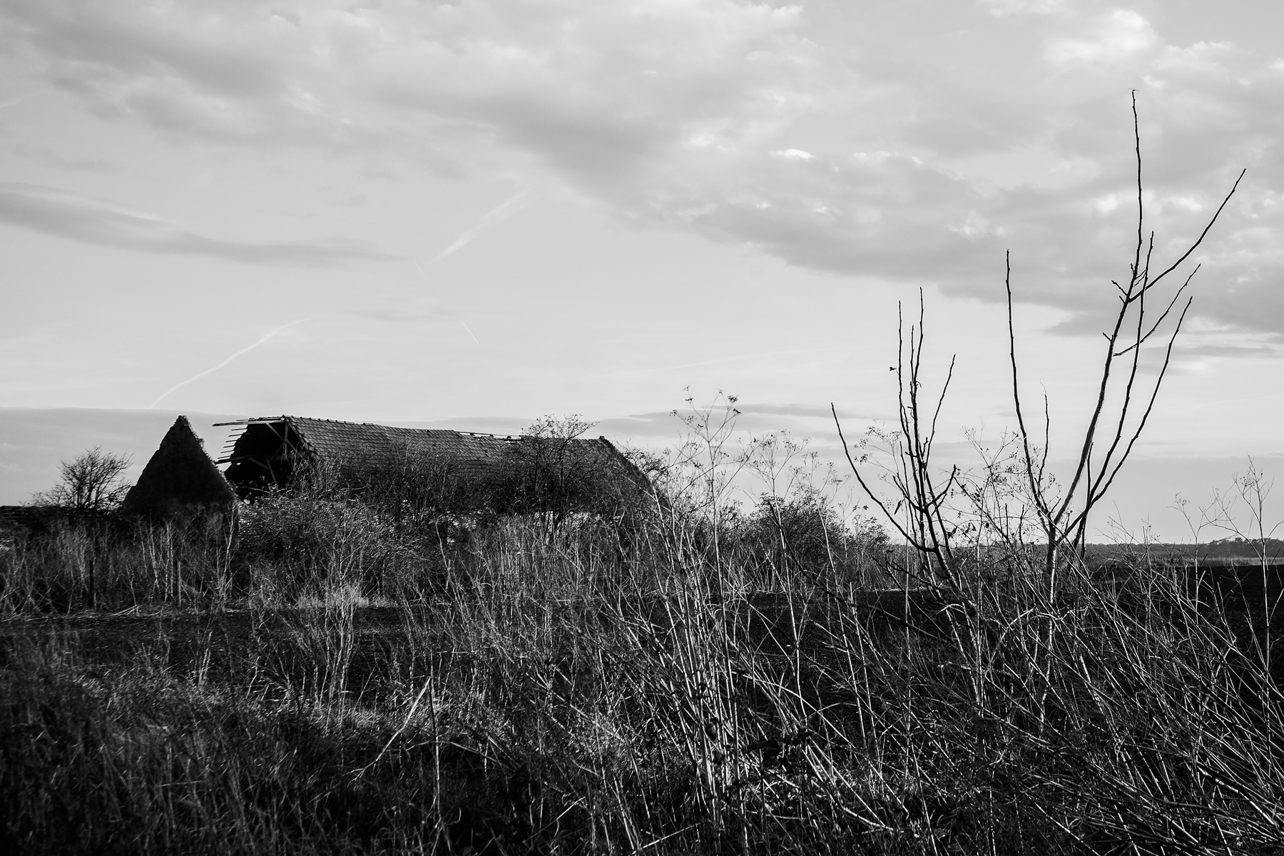 Photo: Méhész Balázs