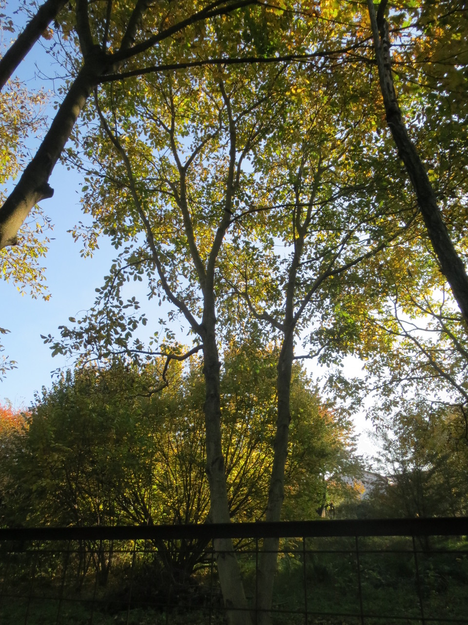 Impressionen
