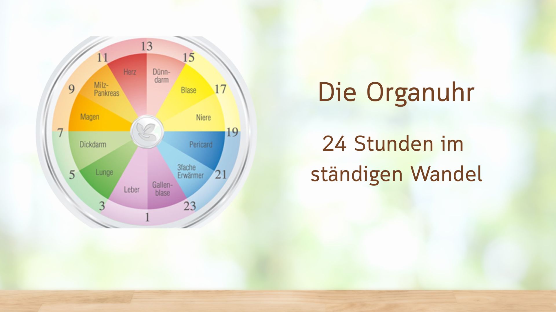 ANKER - Die Organuhr 