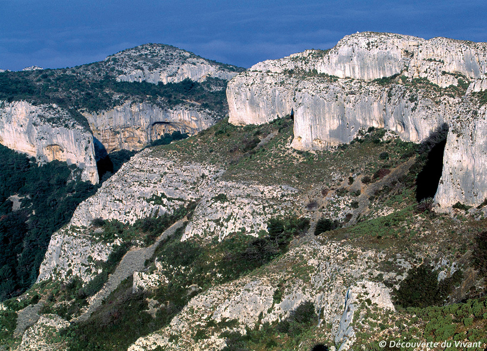 Les Alpilles