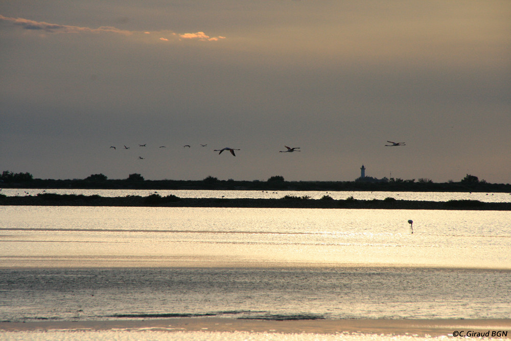 Paysage des anciens salins