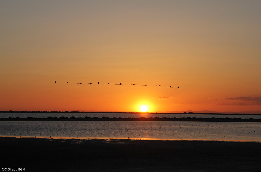 Paysage des anciens salins