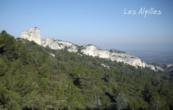 Les Alpilles