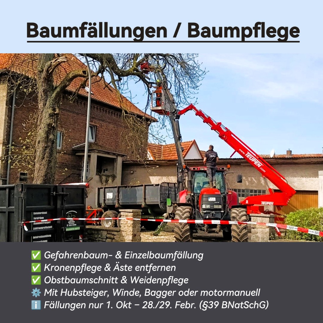 https://www.lohnbetrieb-geppert.de/forstwirtschaft/baumfälllungen
