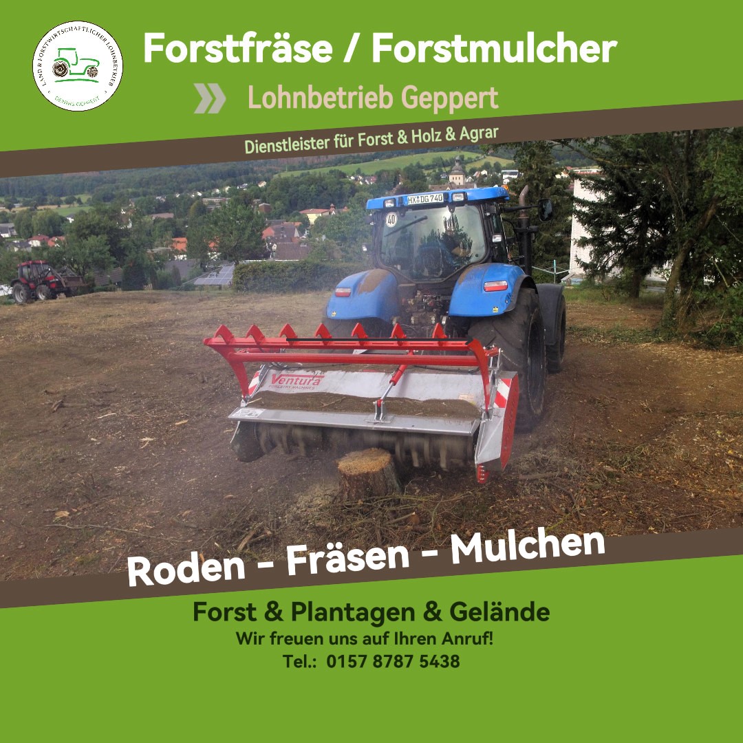 Forstfräse / Forstmulcher
