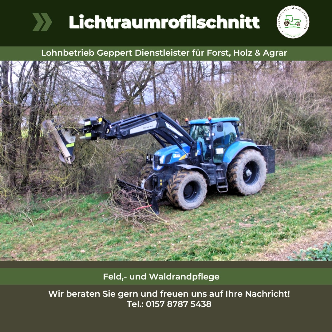 https://www.lohnbetrieb-geppert.de/forstdienstleistungen/