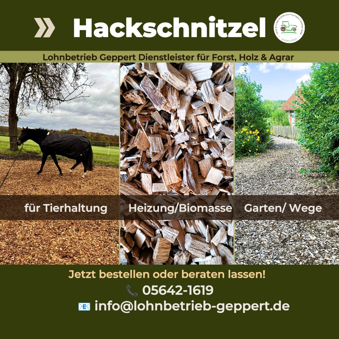 Holz-Hackschnitzel
