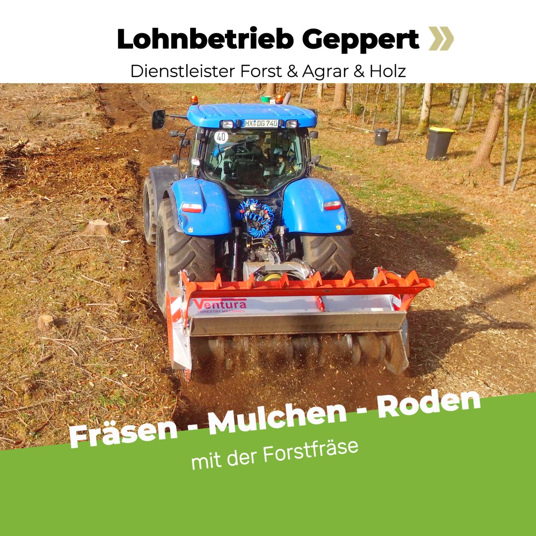 https://www.lohnbetrieb-geppert.de/blog/Förstfräse