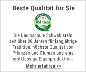 Baumschule Gartenmarkt Schwab Qualitat Die Wachst Baumschule Gartenmarkt Schwab Qualitat Die Wachst