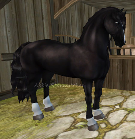 Clubpferd - jarls-manes-ssos Webseite!