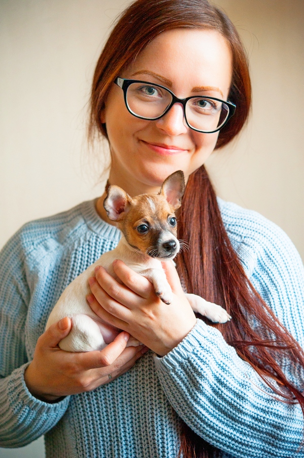 #тойфокстерьер #амертой #террабалтика #toyfoxterrier #terrabaltika #puppies #kennel