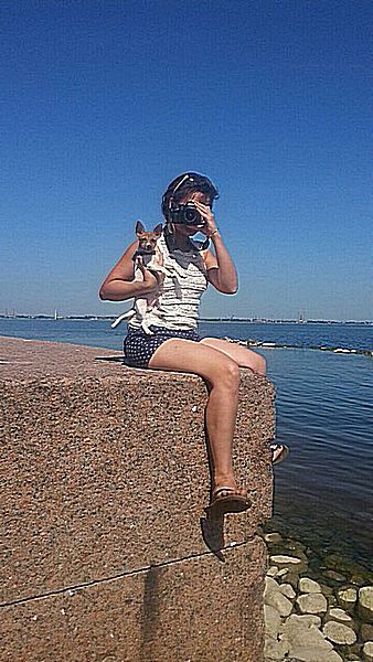 #тойфокстерьер #амертой #террабалтика #toyfoxterrier #terrabaltika #puppies #kennel