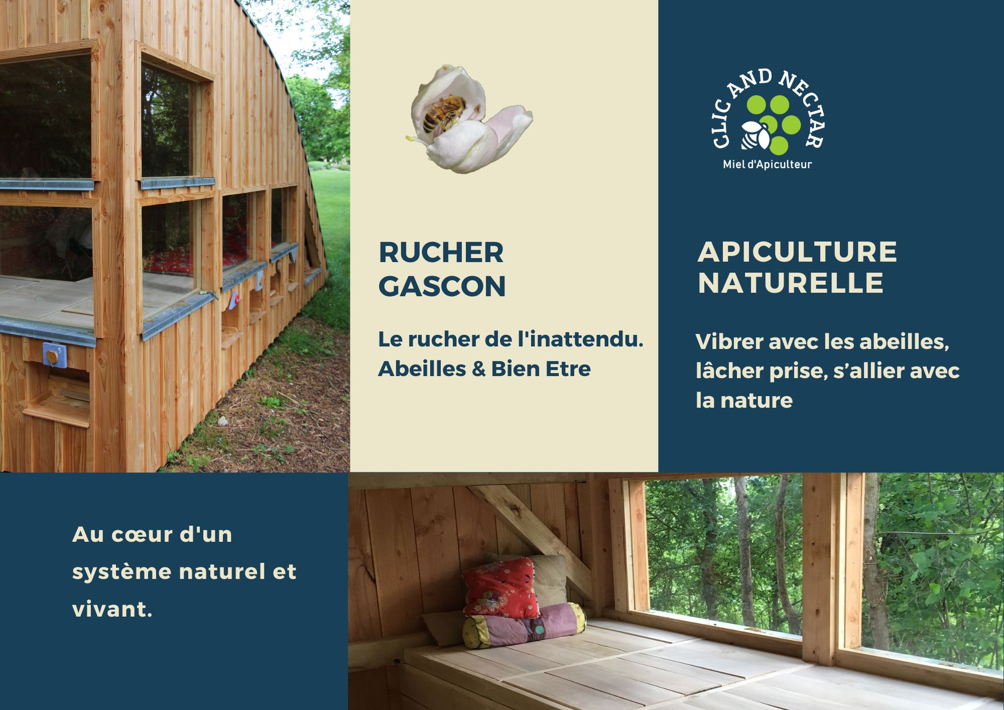 Spa Abeillles - Respirer l'air de la ruche