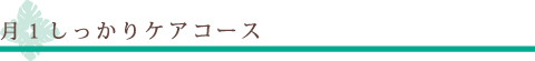 月１しっかりケアコース