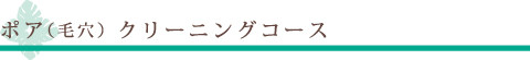 ポア（毛穴）クリーニングコース