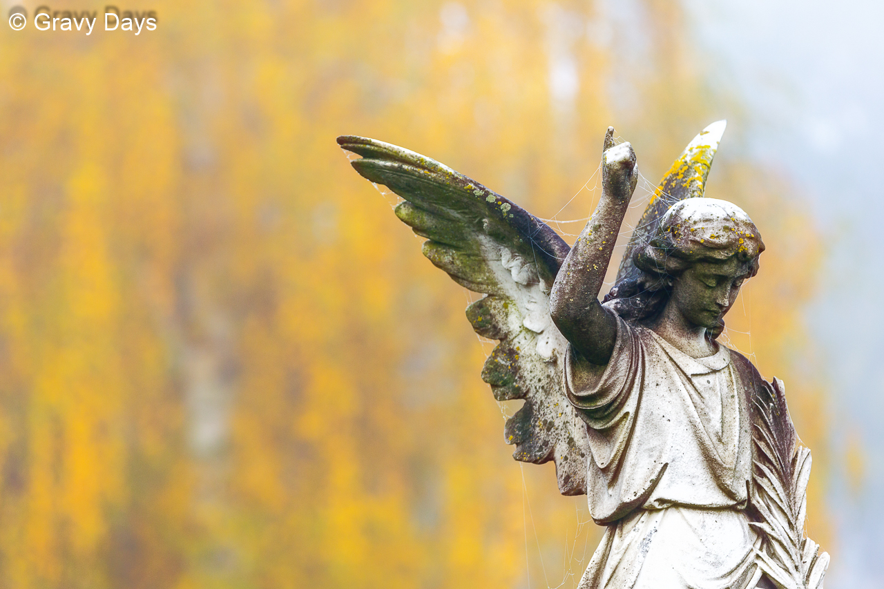 Lieblingsengel, Friedhof Butzbach, 2017