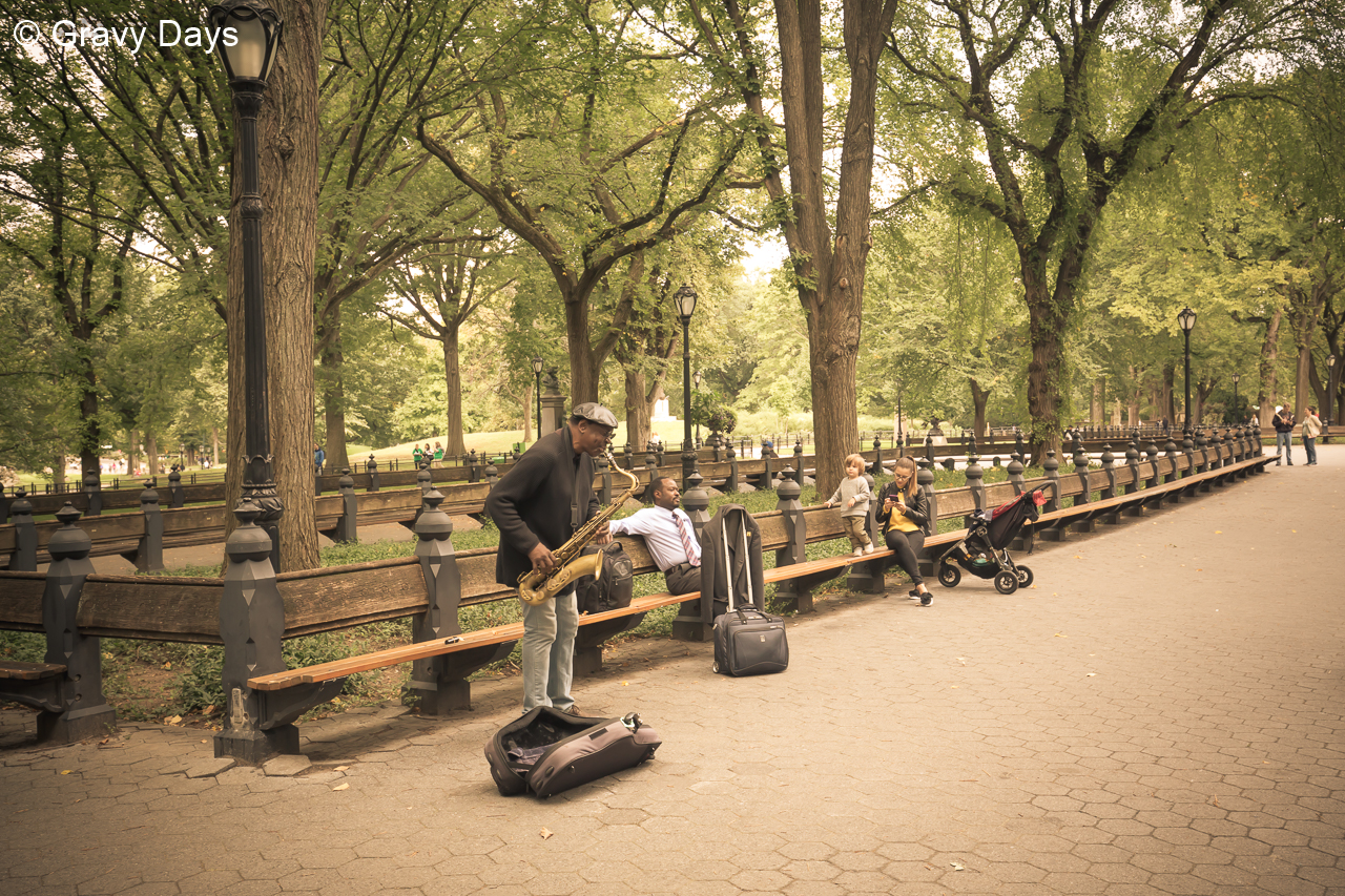 Street Musician, New York Central Park, 2018