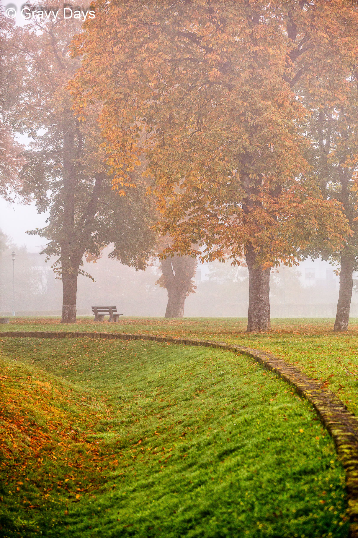 Lieblingsbank, Schlosspark Butzbach, 2017